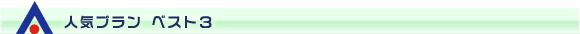 人気プラン ベスト3