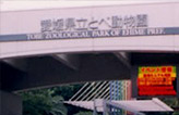 愛媛県立とべ動物園イメージ